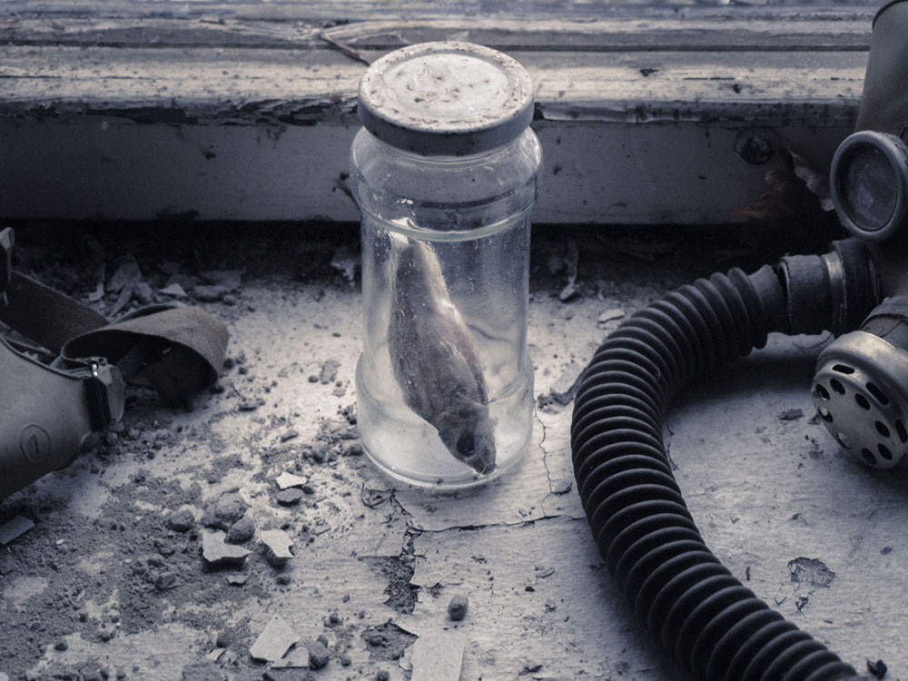 Fischaufzucht-Station - Präparat