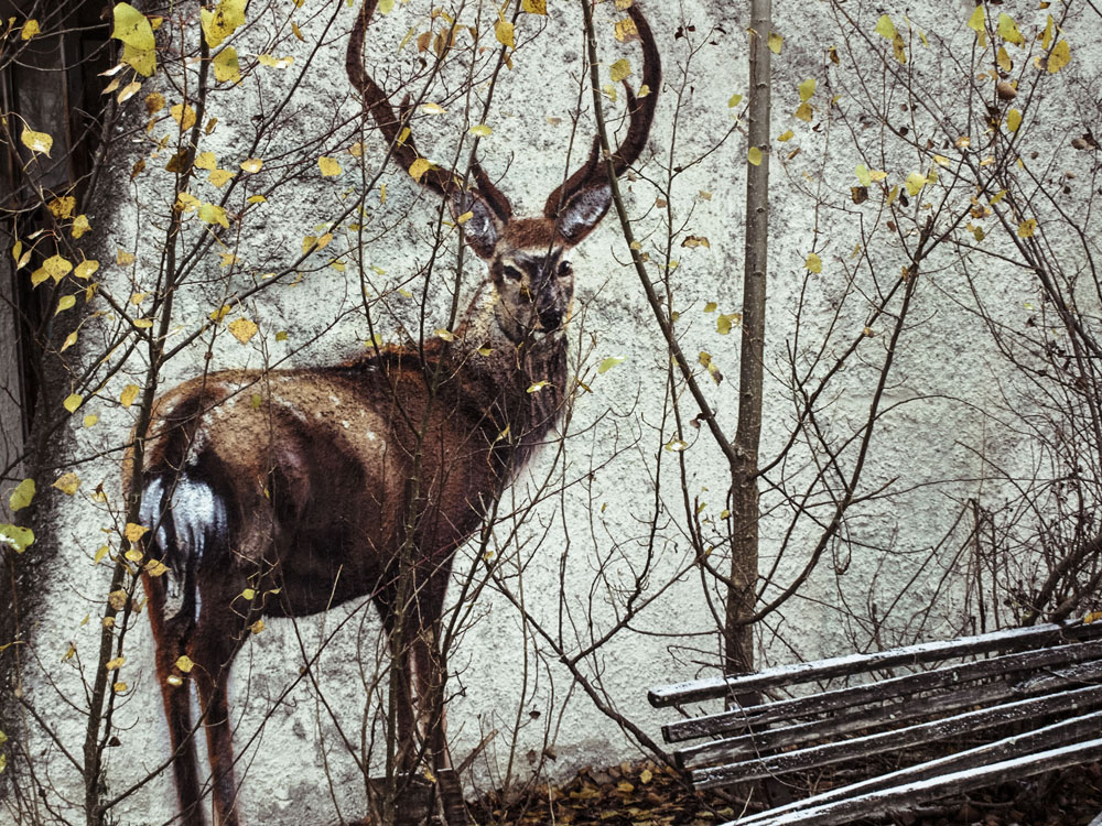 Sperrzone - Graffito